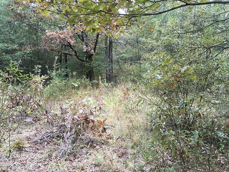 8.39 acres in Rains County - photo 15
