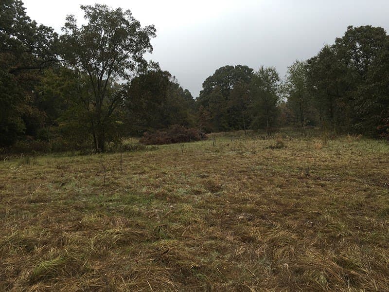 8.39 acres in Rains County - photo 5
