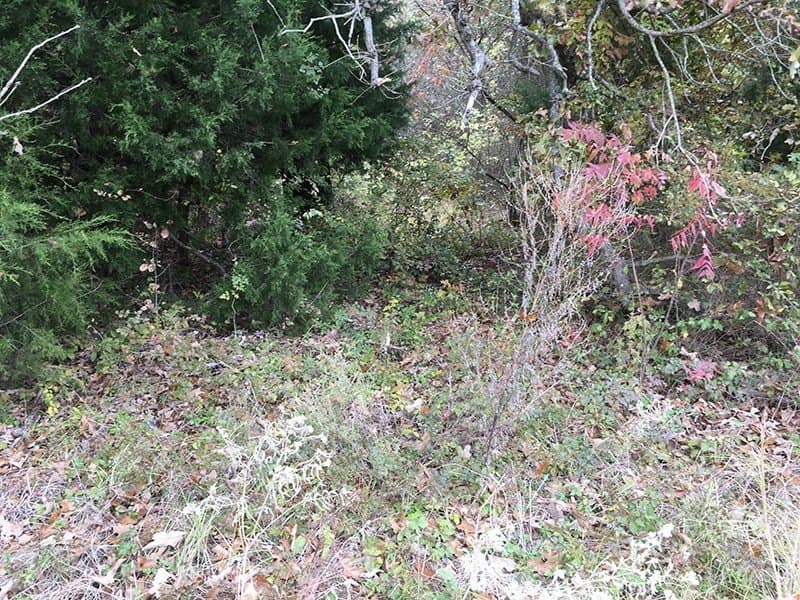 8.39 acres in Rains County - photo 14