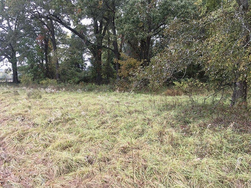 8.39 acres in Rains County - photo 7