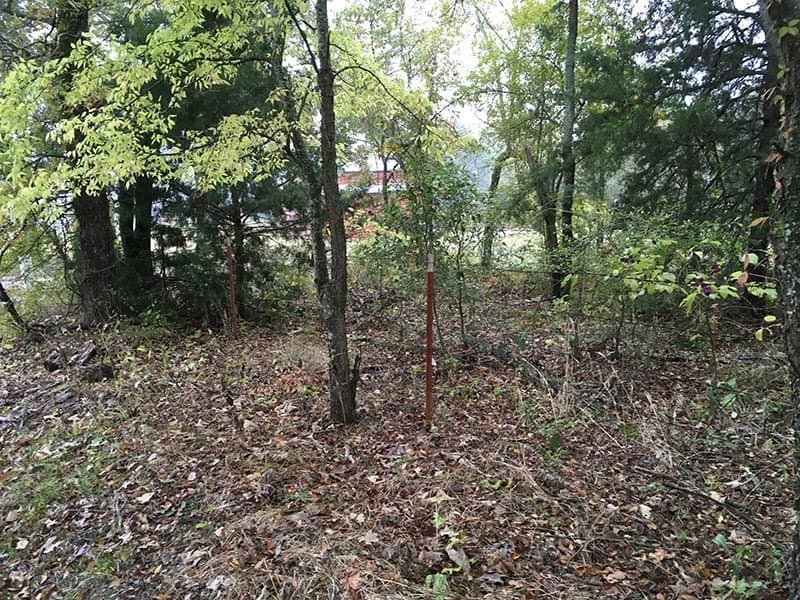 8.39 acres in Rains County - photo 9