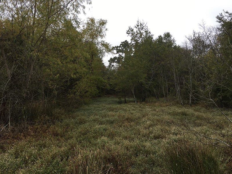 8.39 acres in Rains County - photo 3