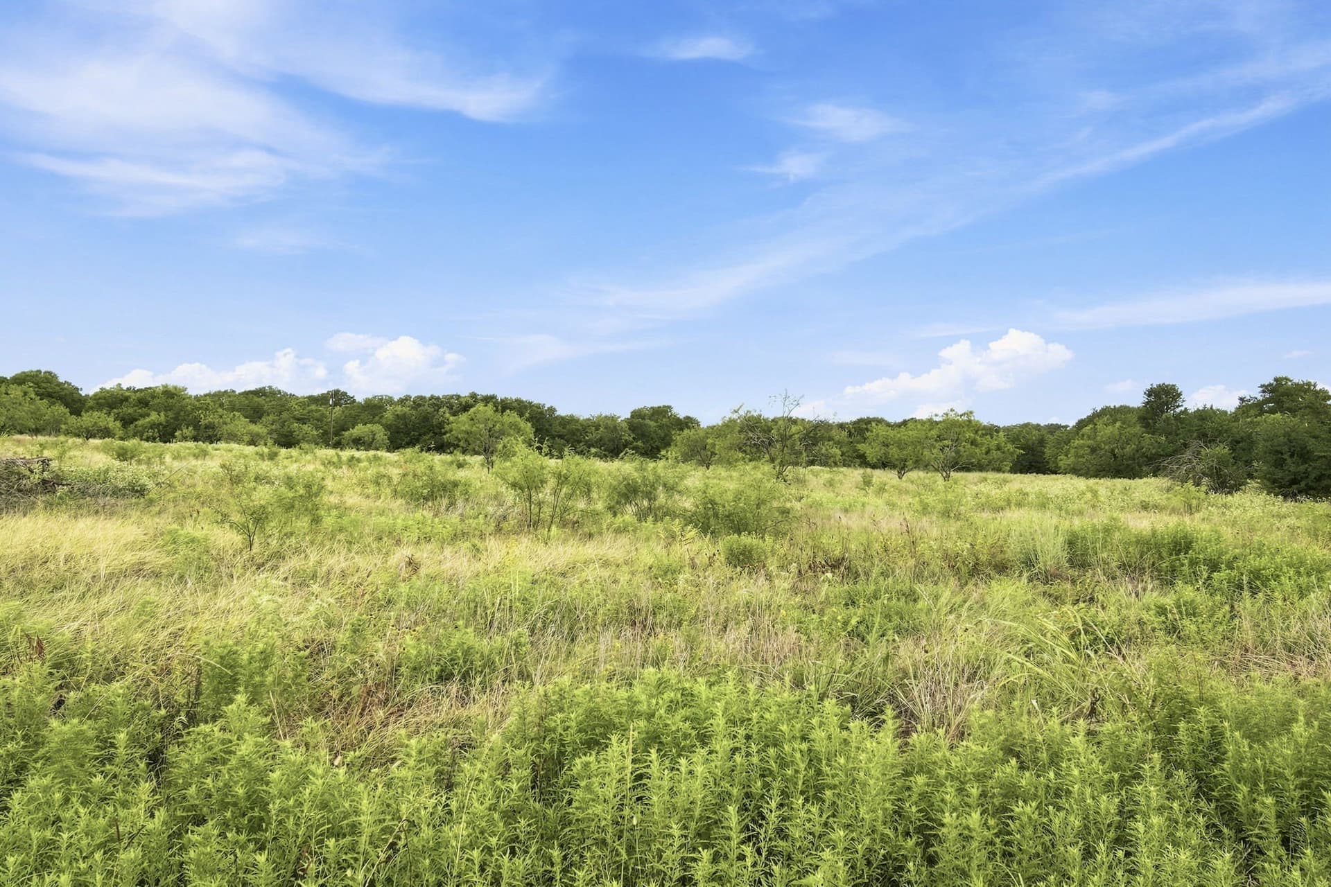 10.88 acres in Hill County - photo 9