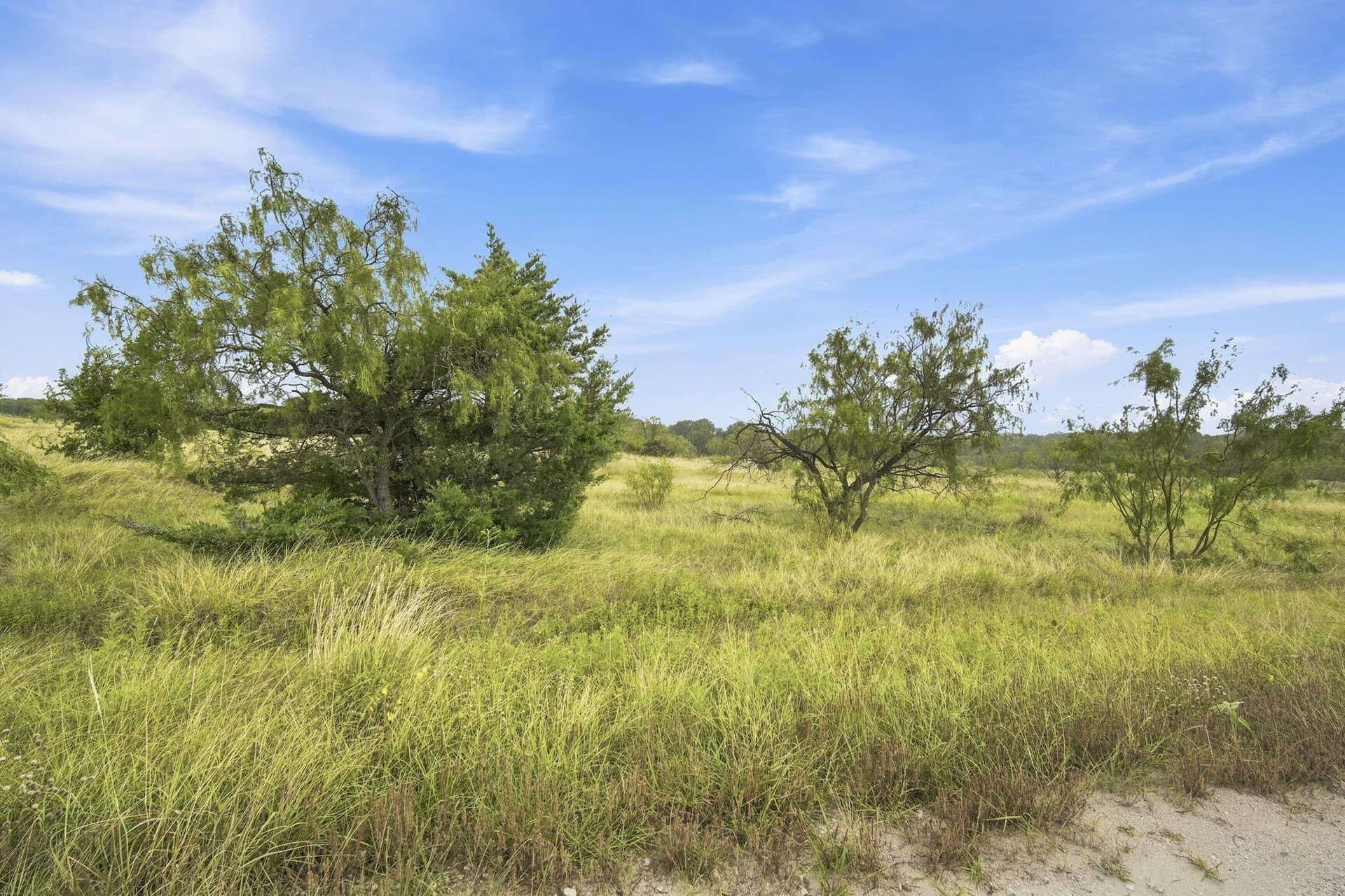 10.88 acres in Hill County - photo 8