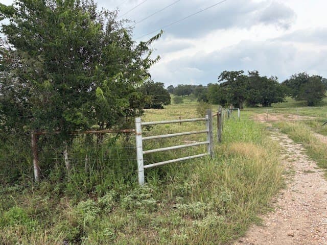 53 acres in Lee County - photo 4