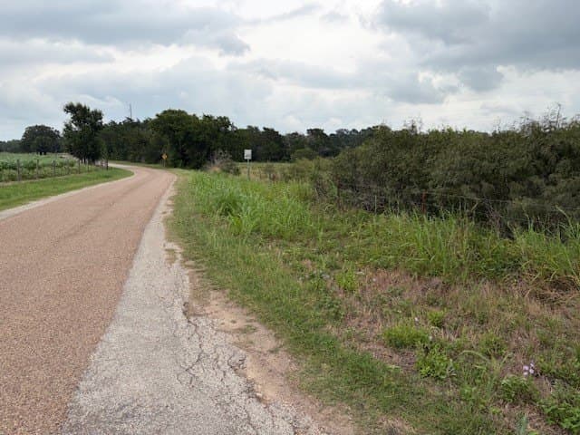 53 acres in Lee County - photo 5