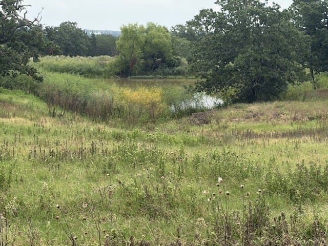 53 acres in Lee County - photo 17
