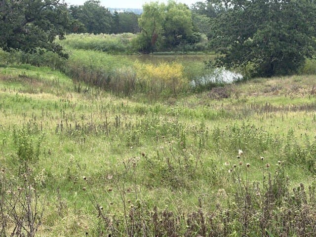 53 acres in Lee County - photo 16