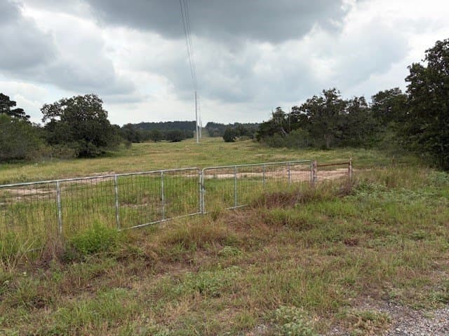 53 acres in Lee County - photo 6
