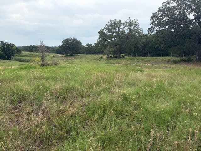 53 acres in Lee County - photo 18