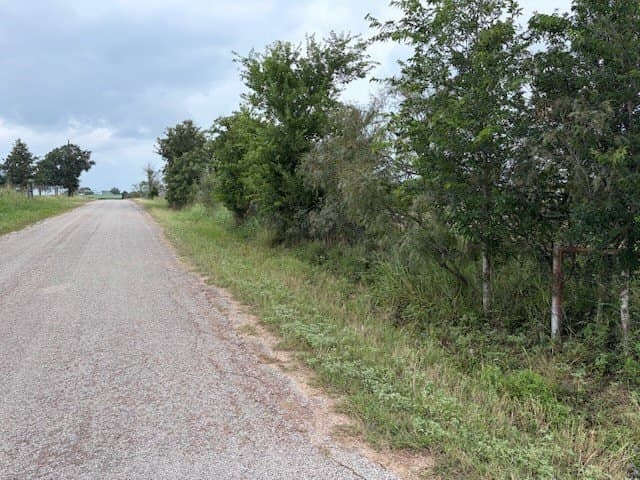 53 acres in Lee County - photo 3