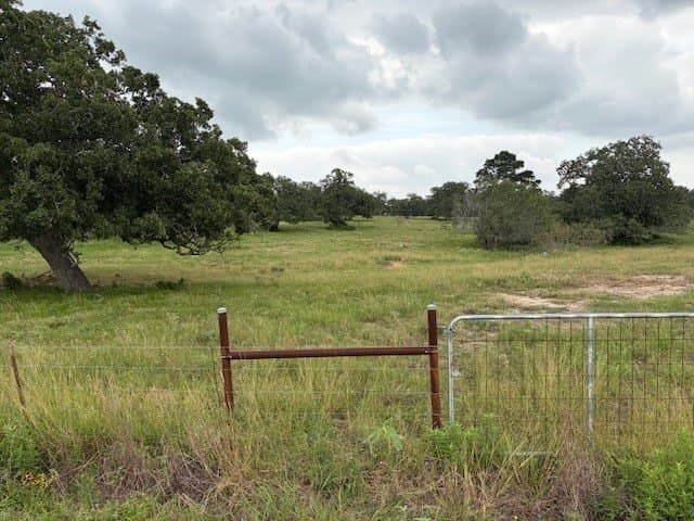 53 acres in Lee County - photo 7