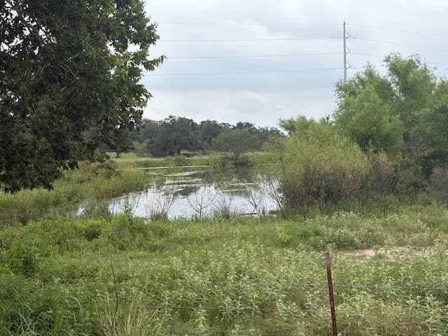 53 acres in Lee County - photo 20