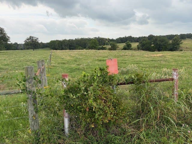 53 acres in Lee County - photo 10