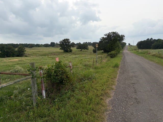 53 acres in Lee County - photo 9