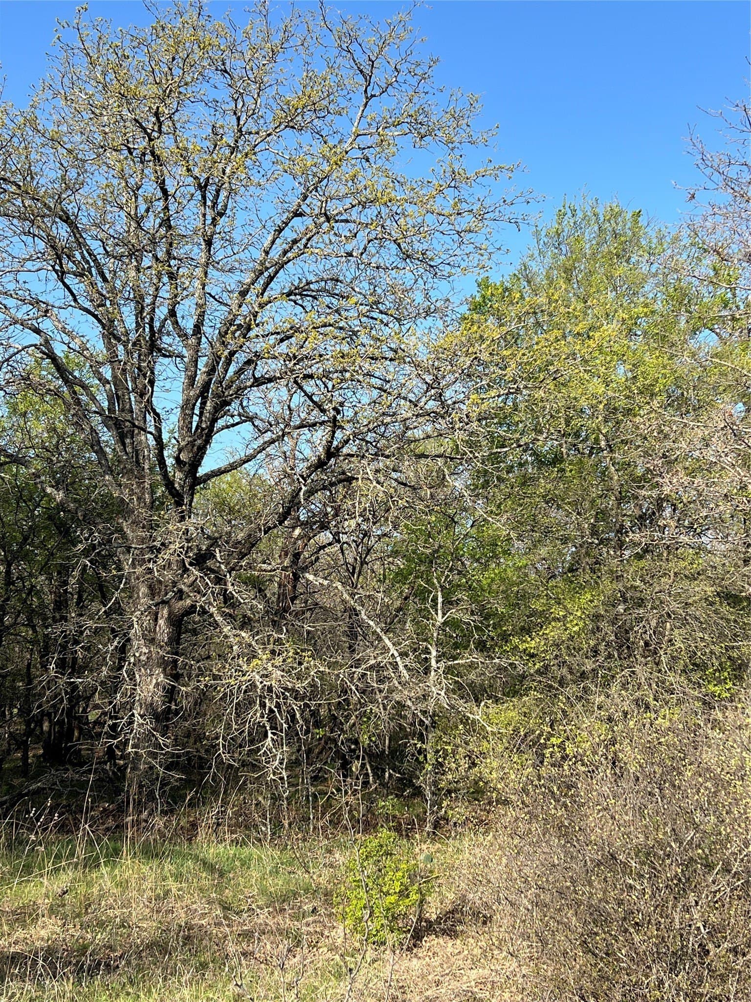 0.28 acres in Wise County - photo 9