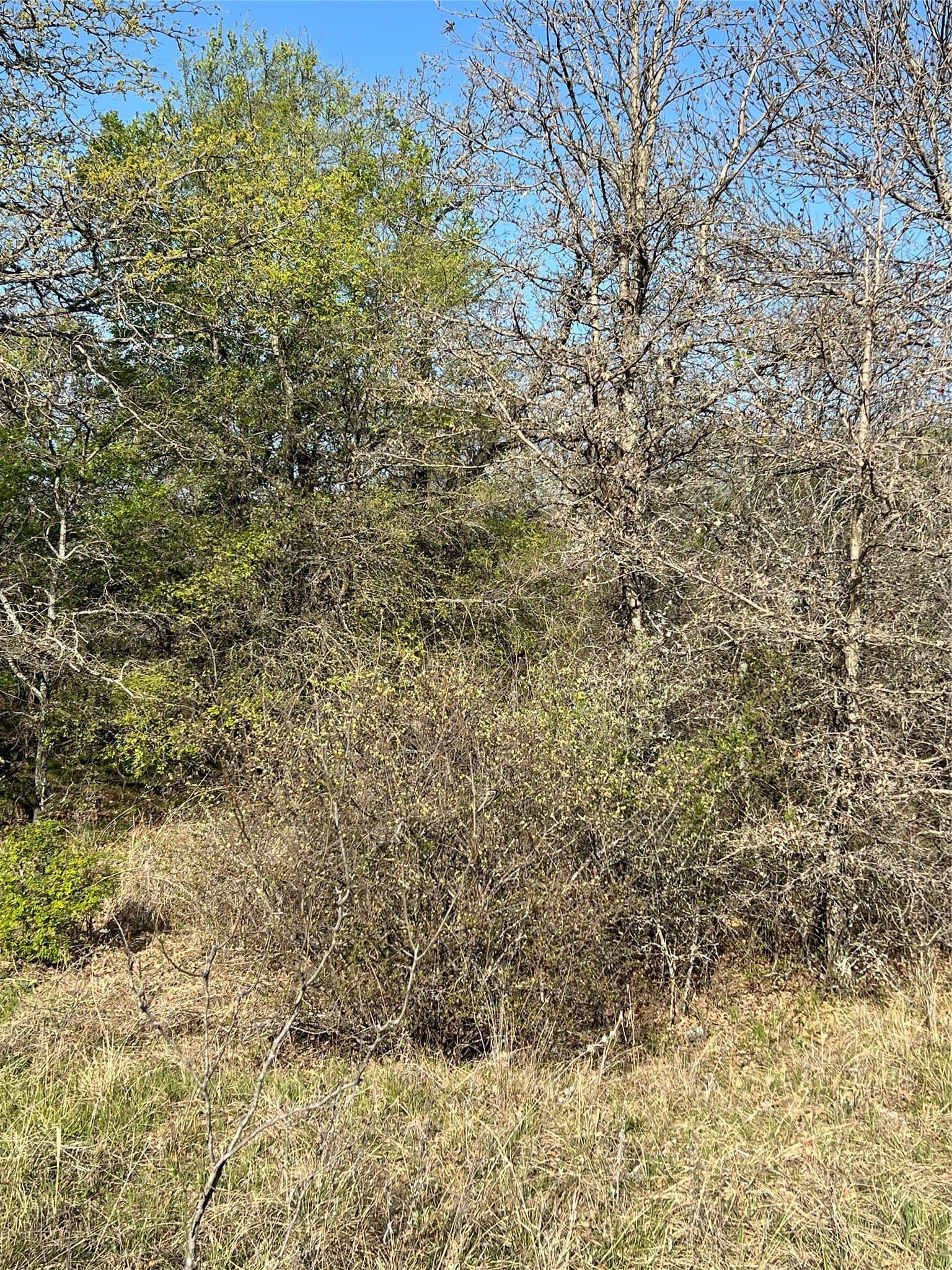 0.28 acres in Wise County - photo 8