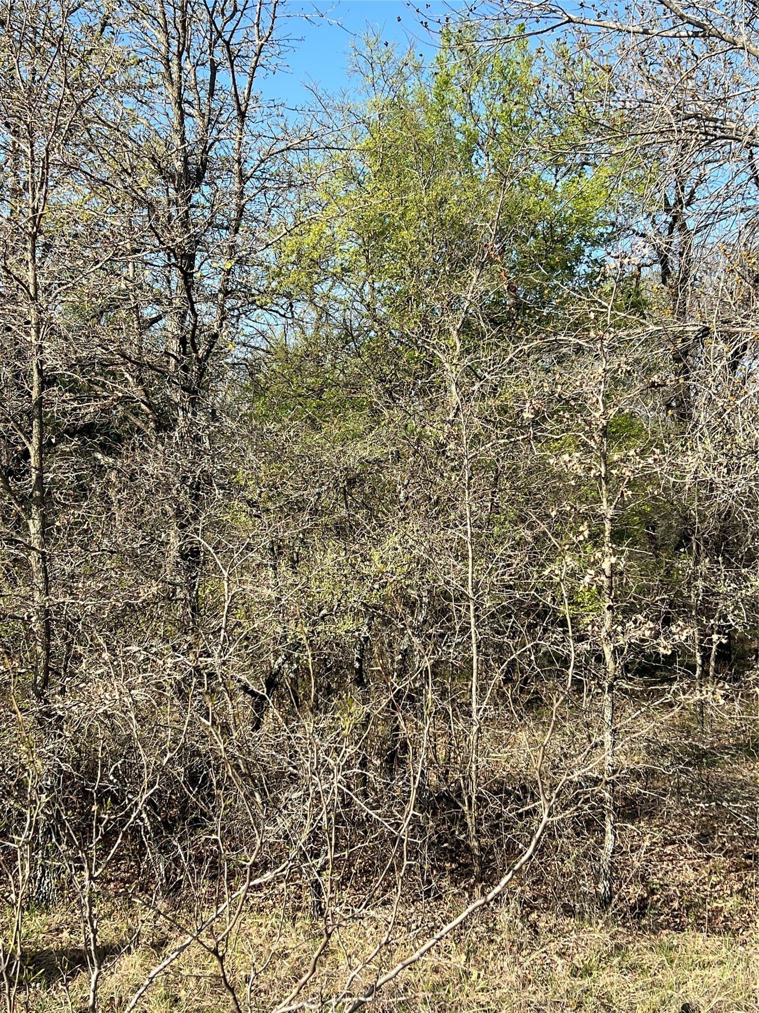 0.28 acres in Wise County - photo 10