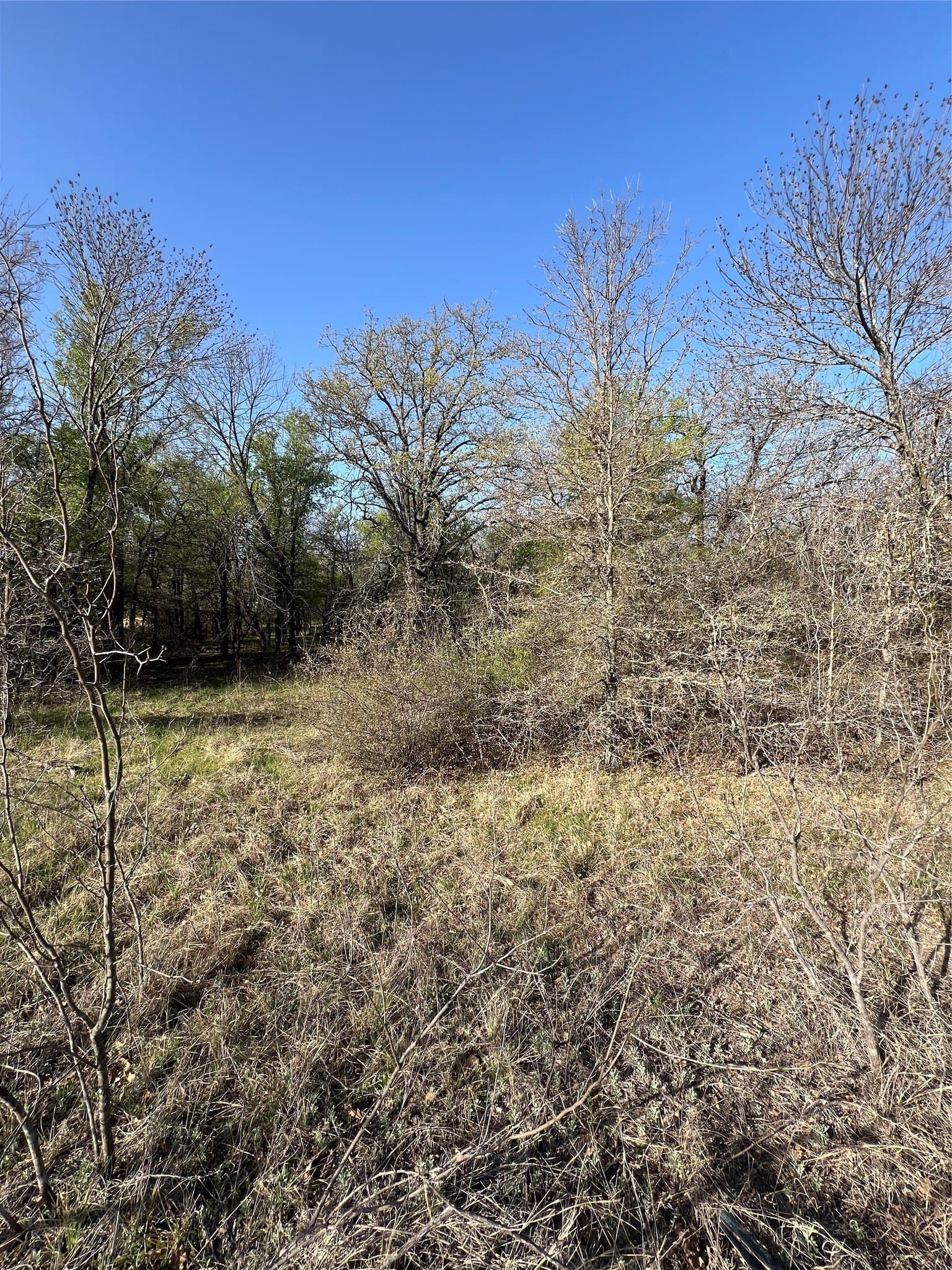 0.28 acres in Wise County - photo 11