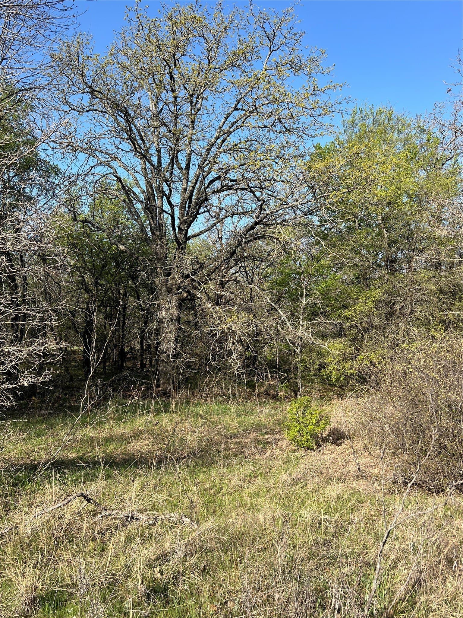 0.28 acres in Wise County - photo 7