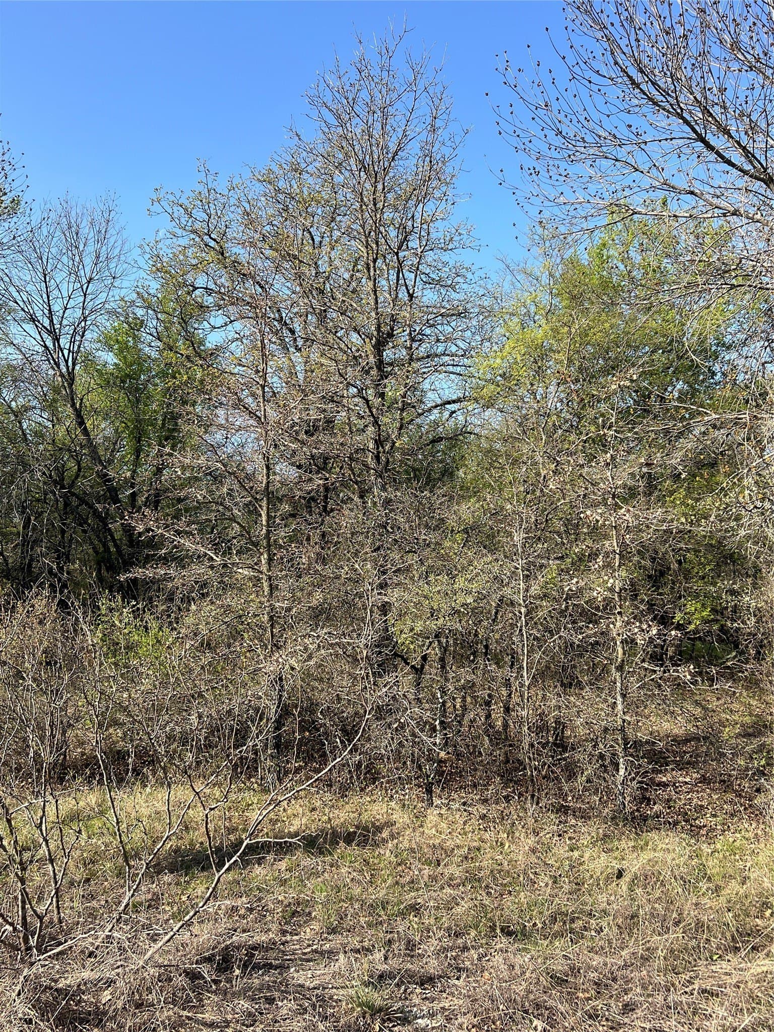 0.28 acres in Wise County - photo 6