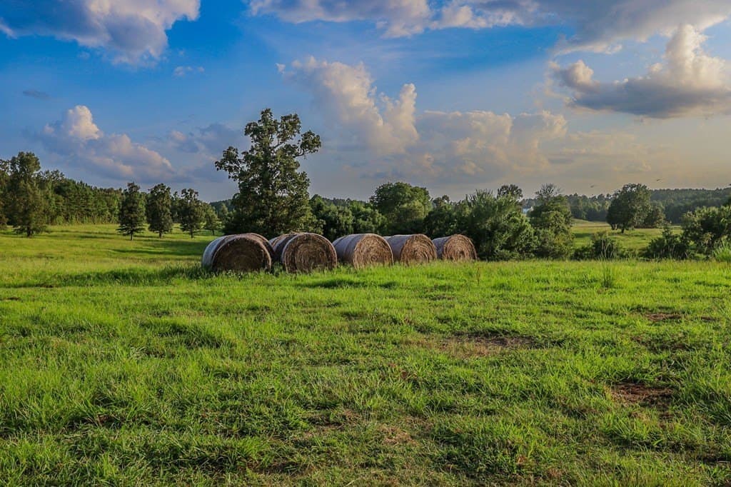115.61 acres in Texas County - photo 9