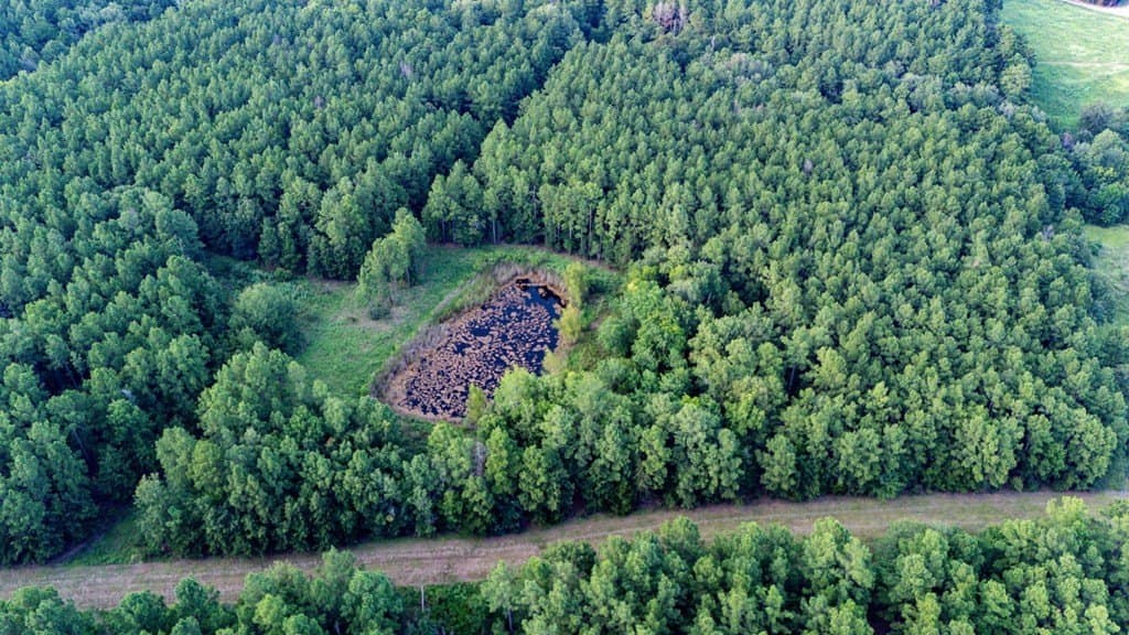 115.61 acres in Texas County - photo 7