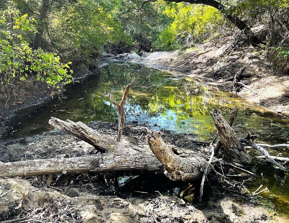 25.56 acres in Lavaca County - photo 4