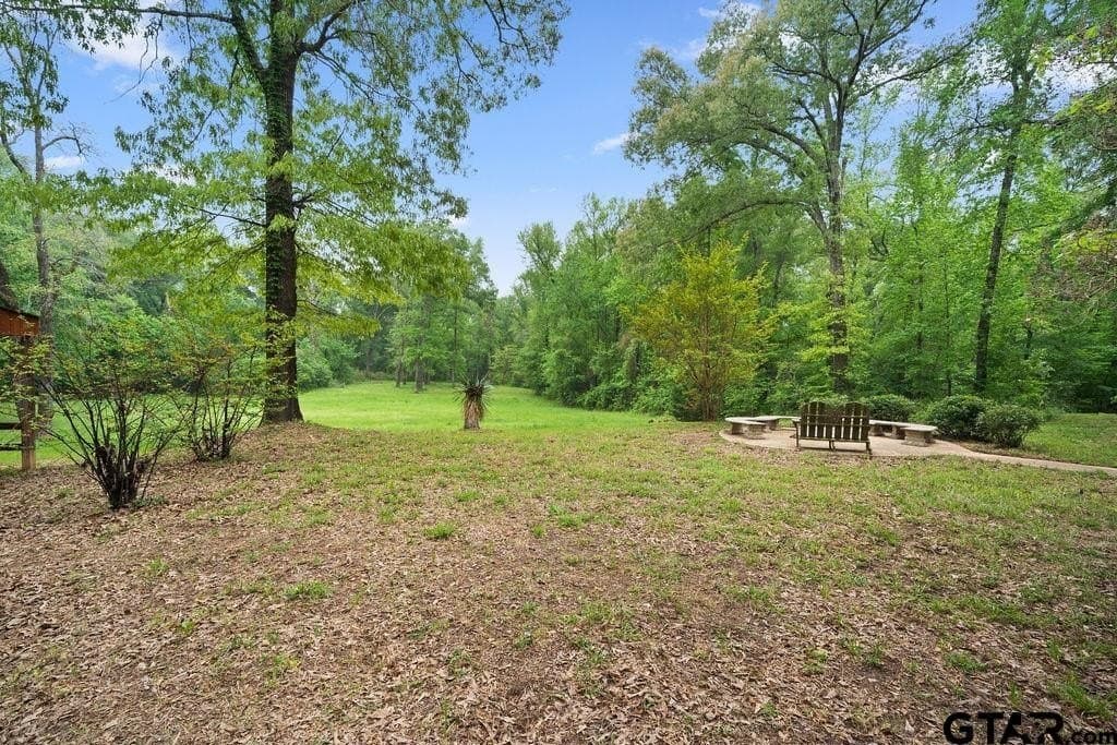 20 acres in Van Zandt County gallery image 2