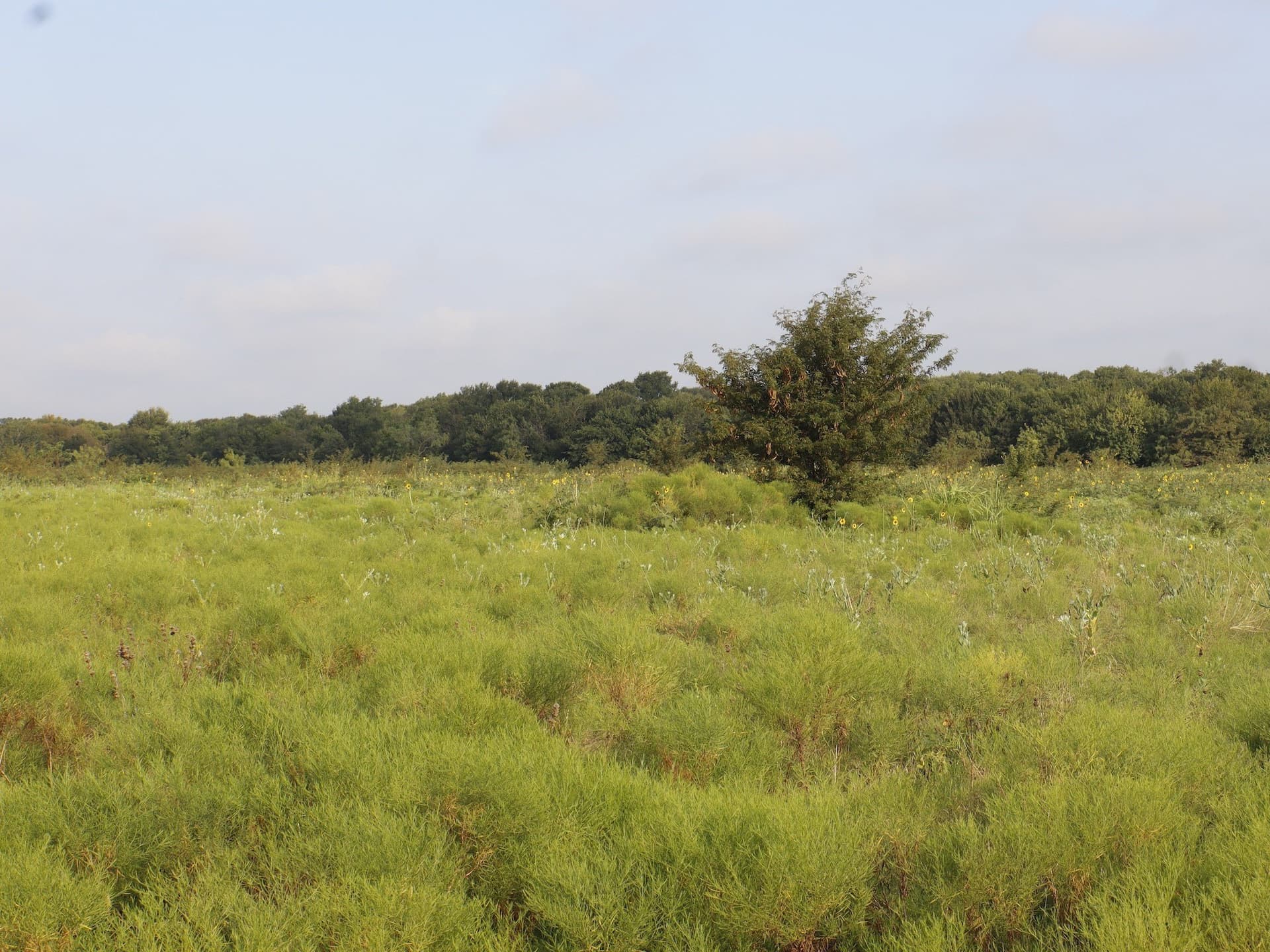 7.77 acres in Ellis County - photo 12
