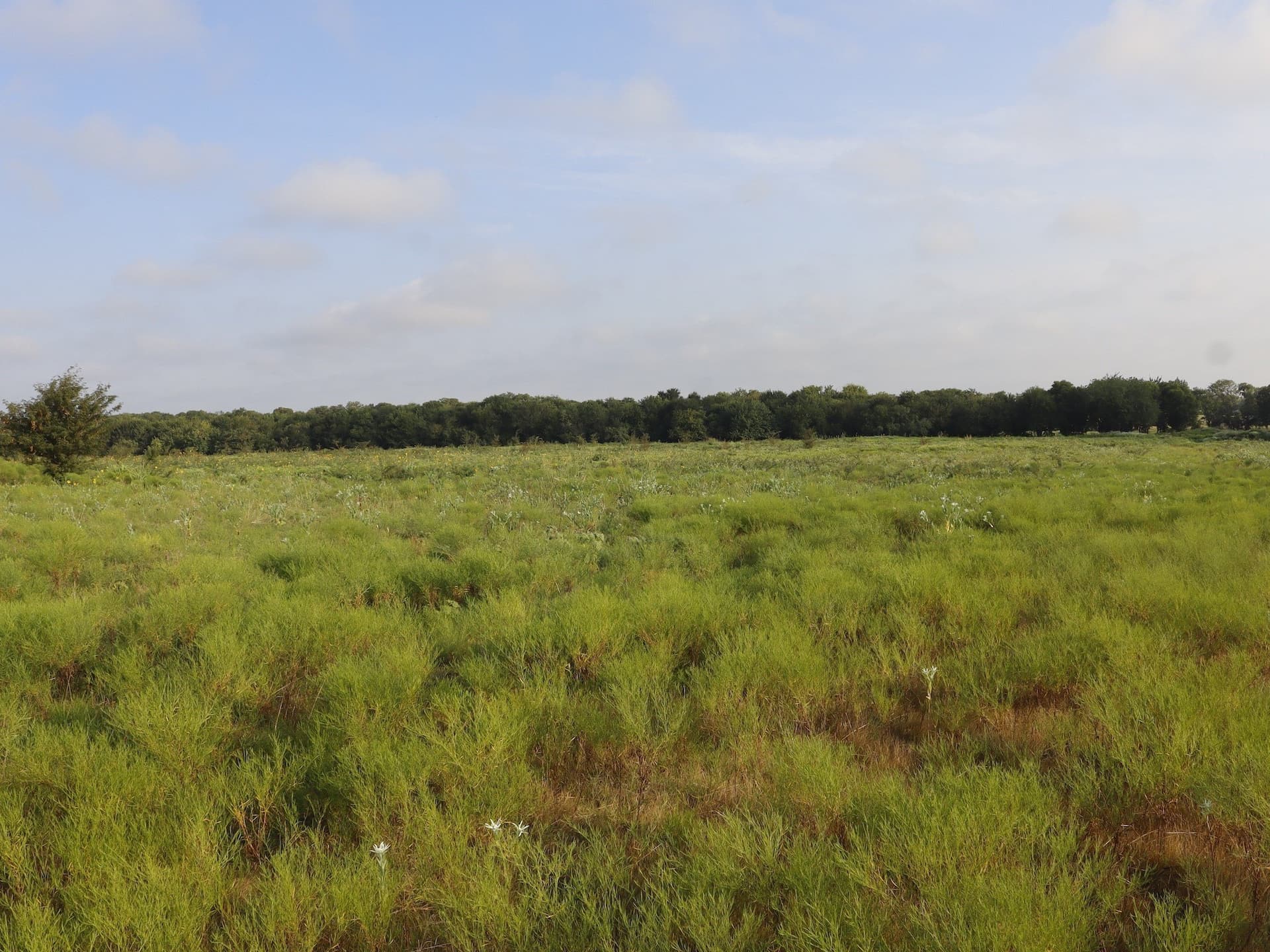 7.77 acres in Ellis County - photo 15