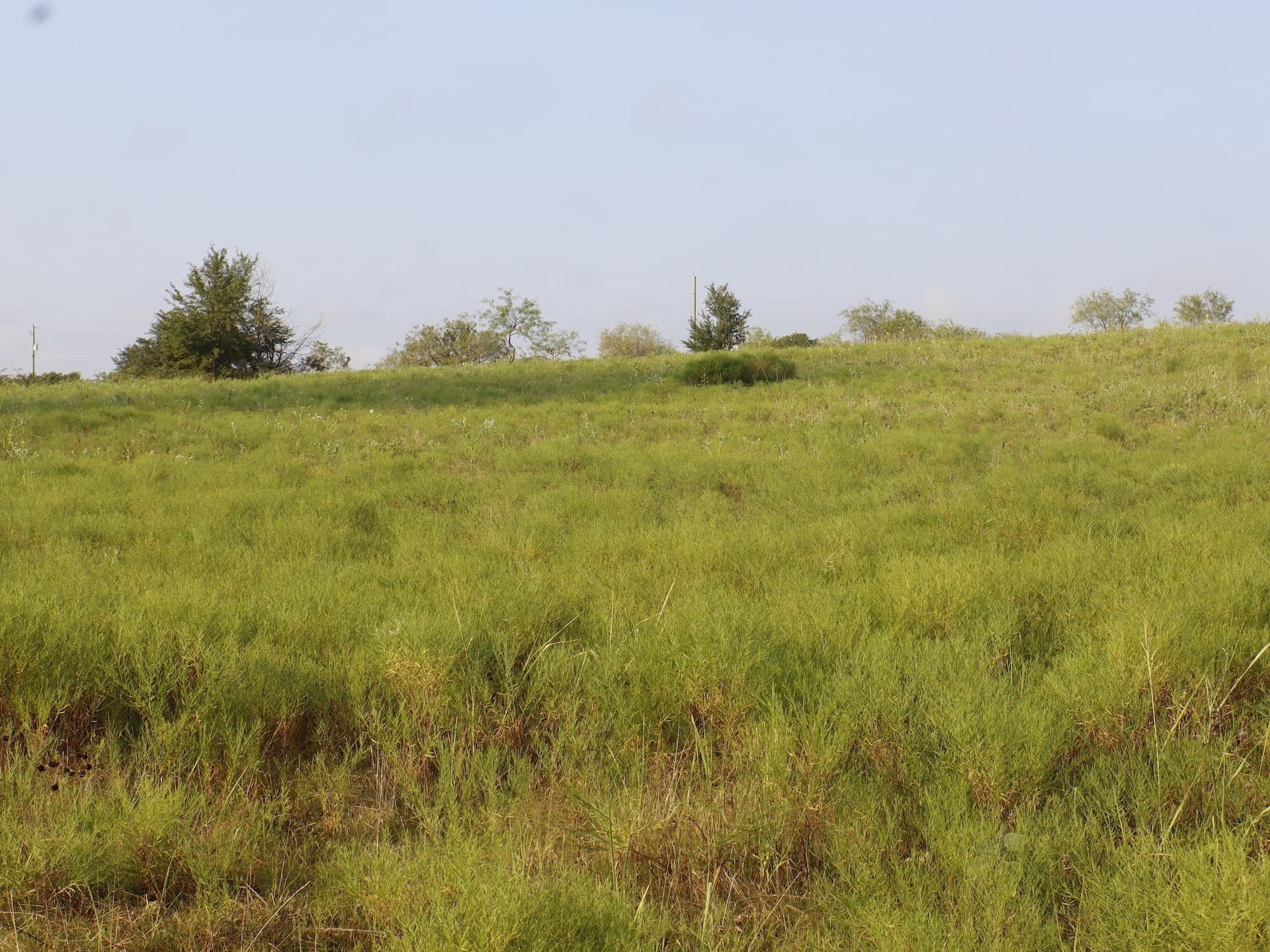 7.77 acres in Ellis County - photo 14