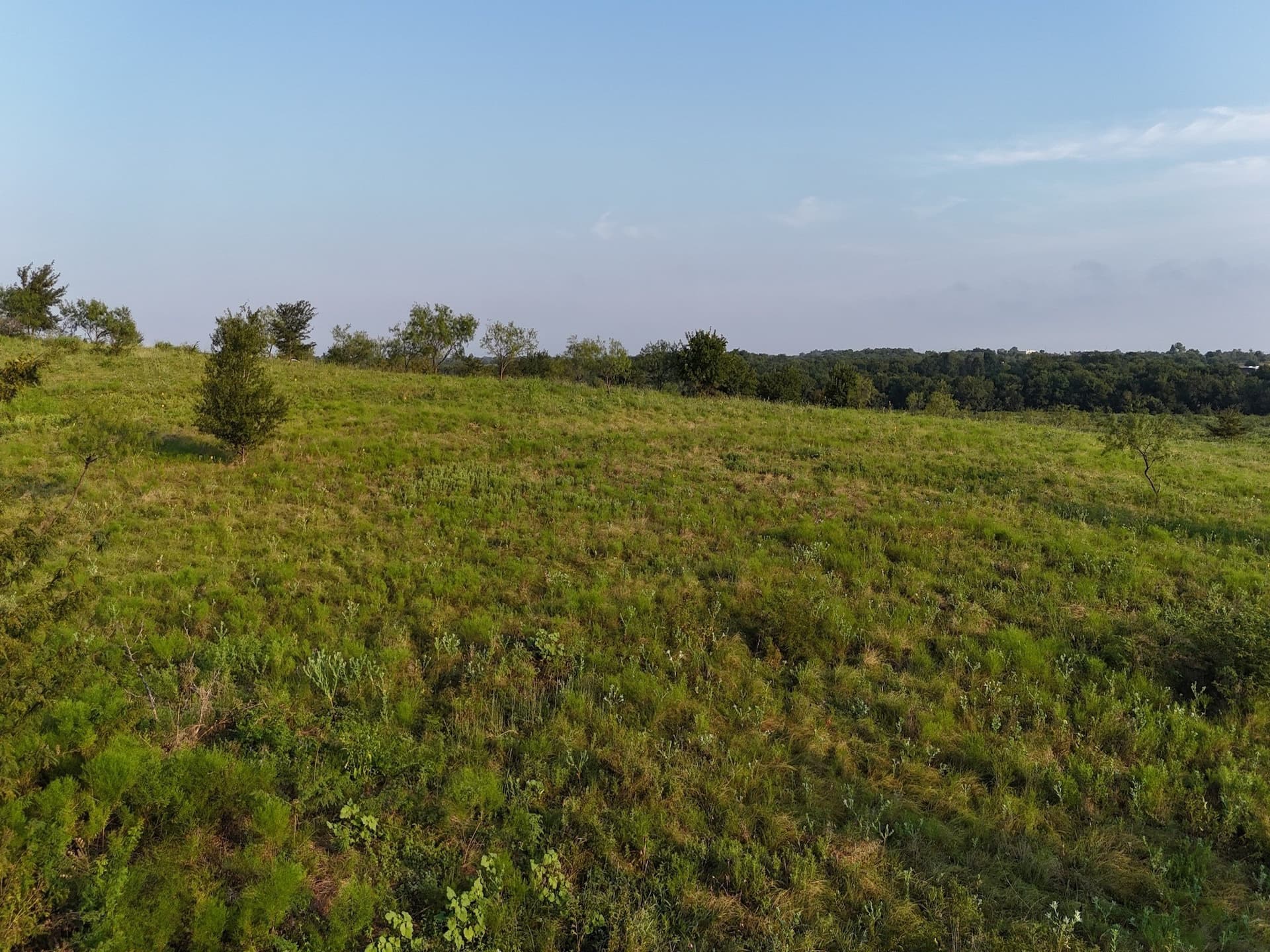 7.77 acres in Ellis County - photo 18