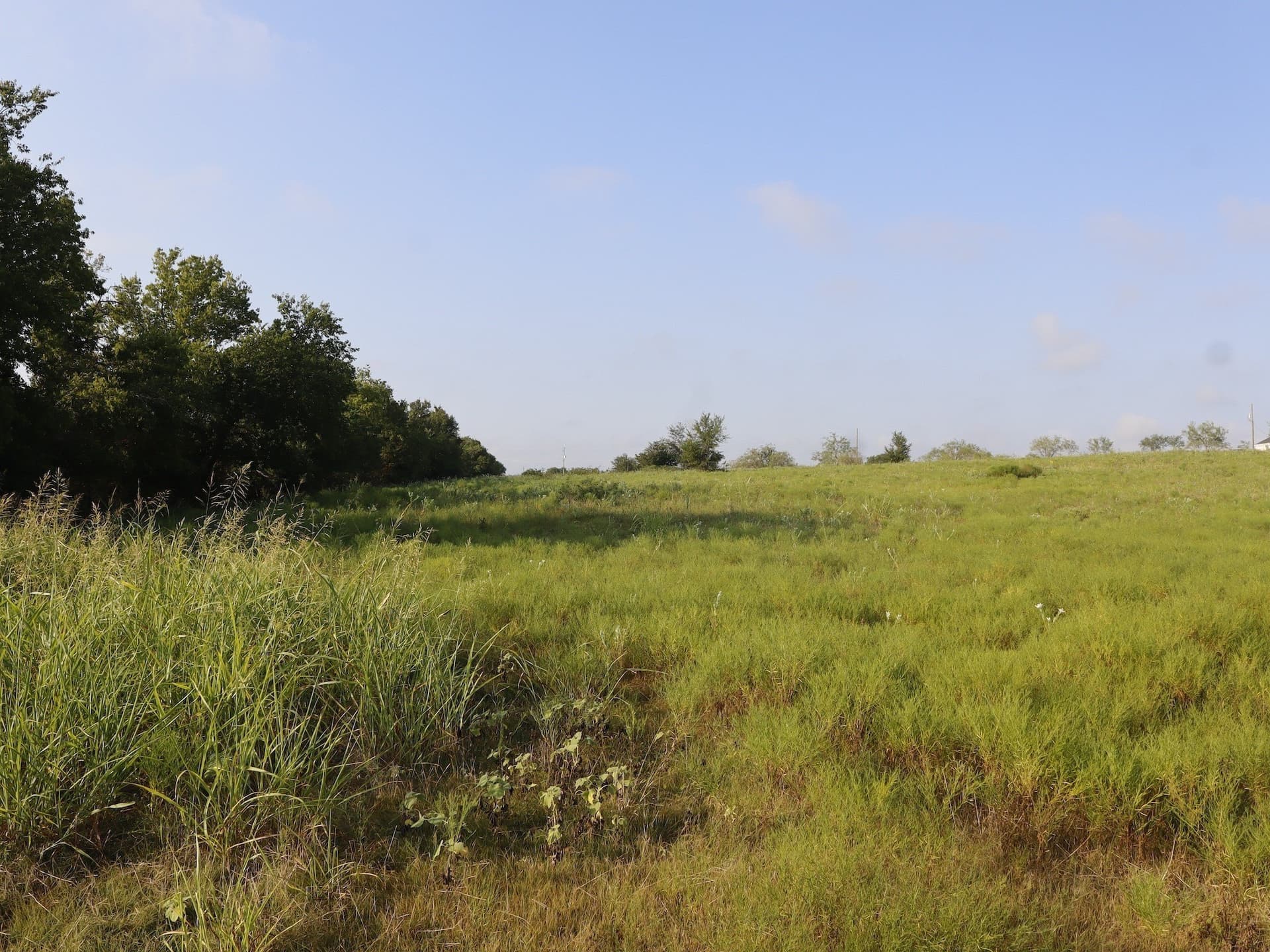 7.77 acres in Ellis County - photo 11