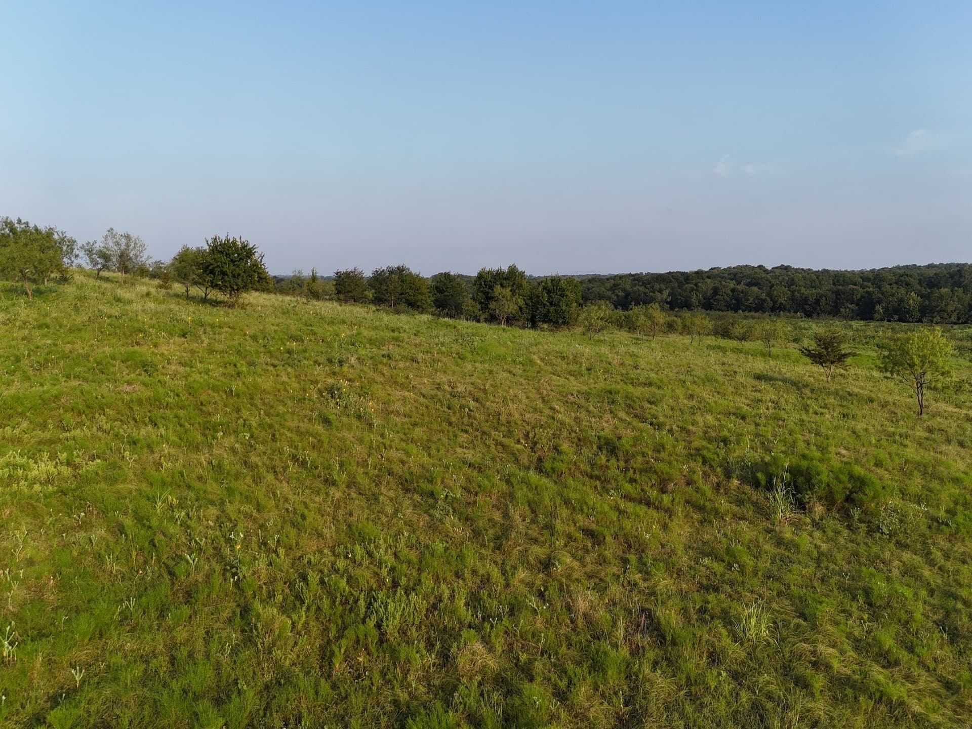 7.77 acres in Ellis County - photo 19