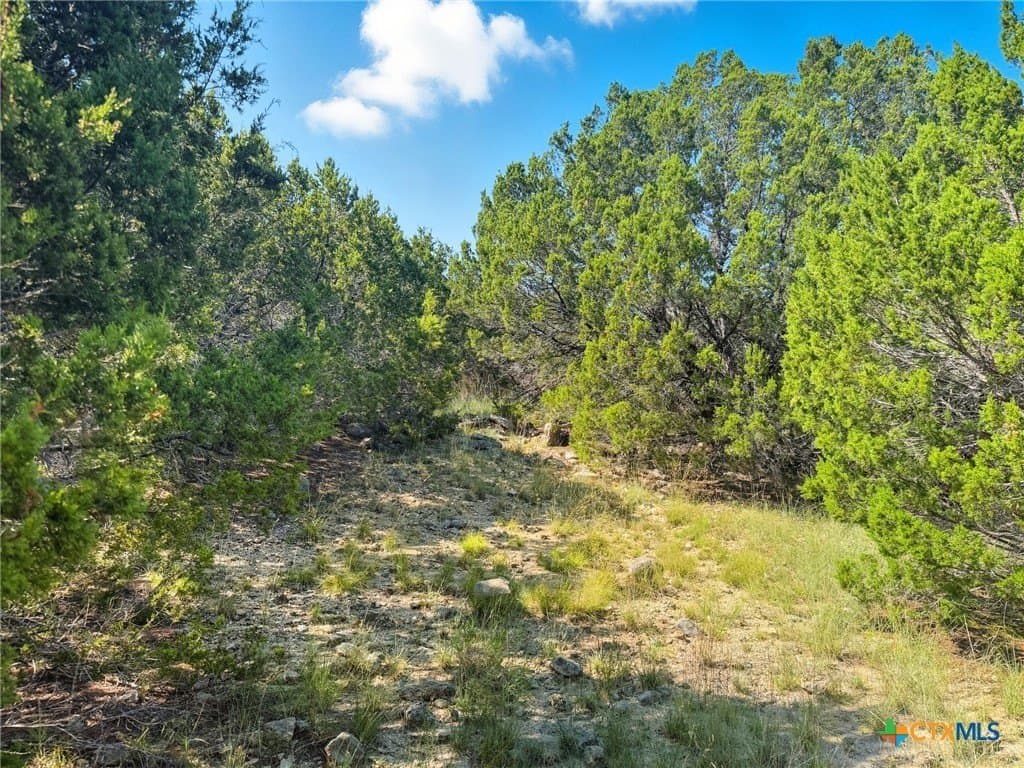 14.68 acres in Hamilton County - photo 13
