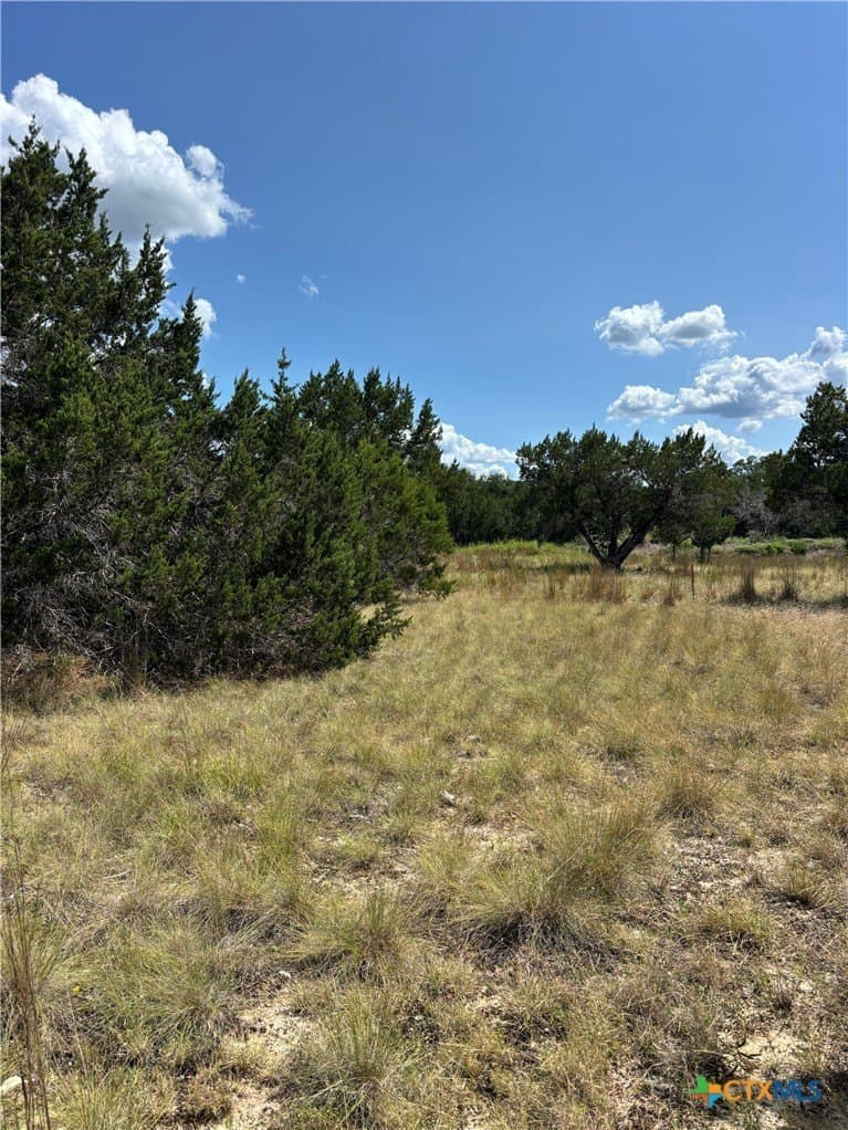 4.07 acres in Travis County - photo 6