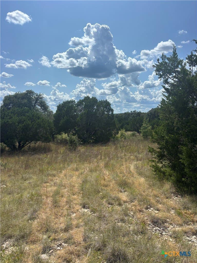 4.07 acres in Travis County - photo 7