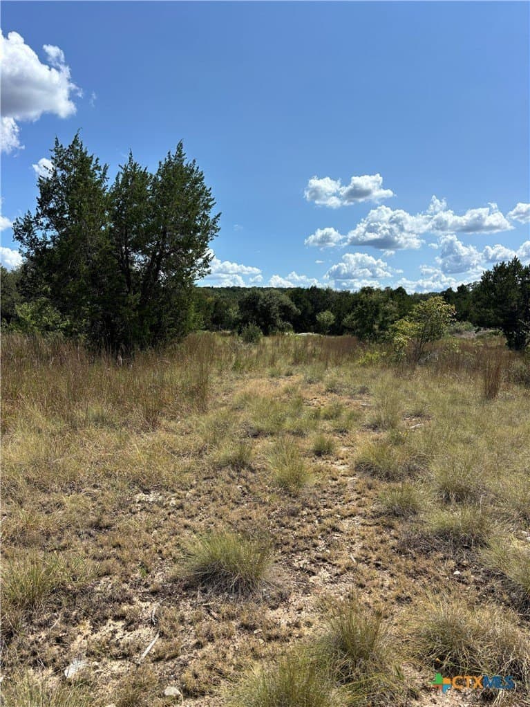 4.07 acres in Travis County - photo 12