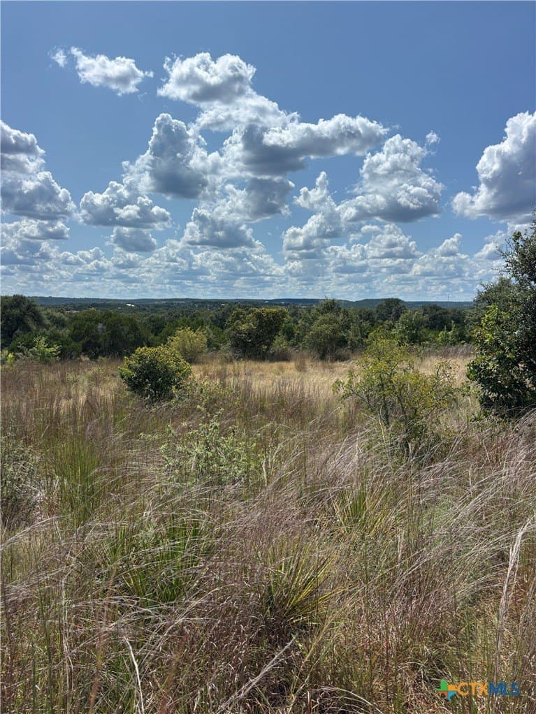 4.07 acres in Travis County - photo 5