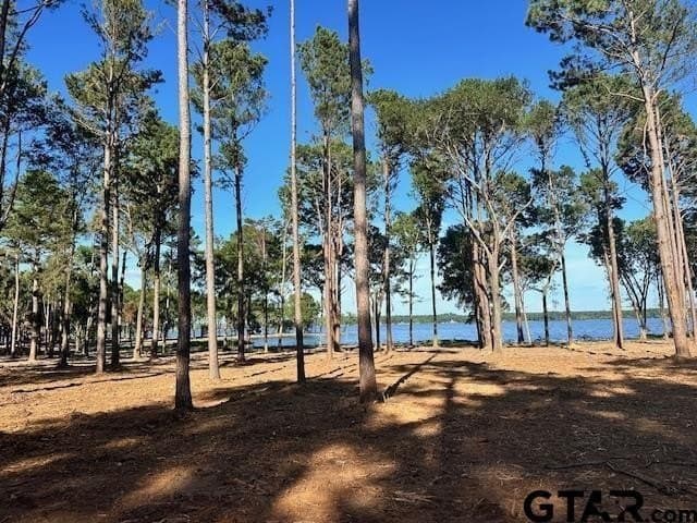 1 acres in Anderson County gallery image 3