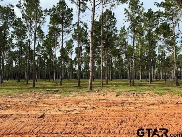 1 acres in Anderson County gallery image 2