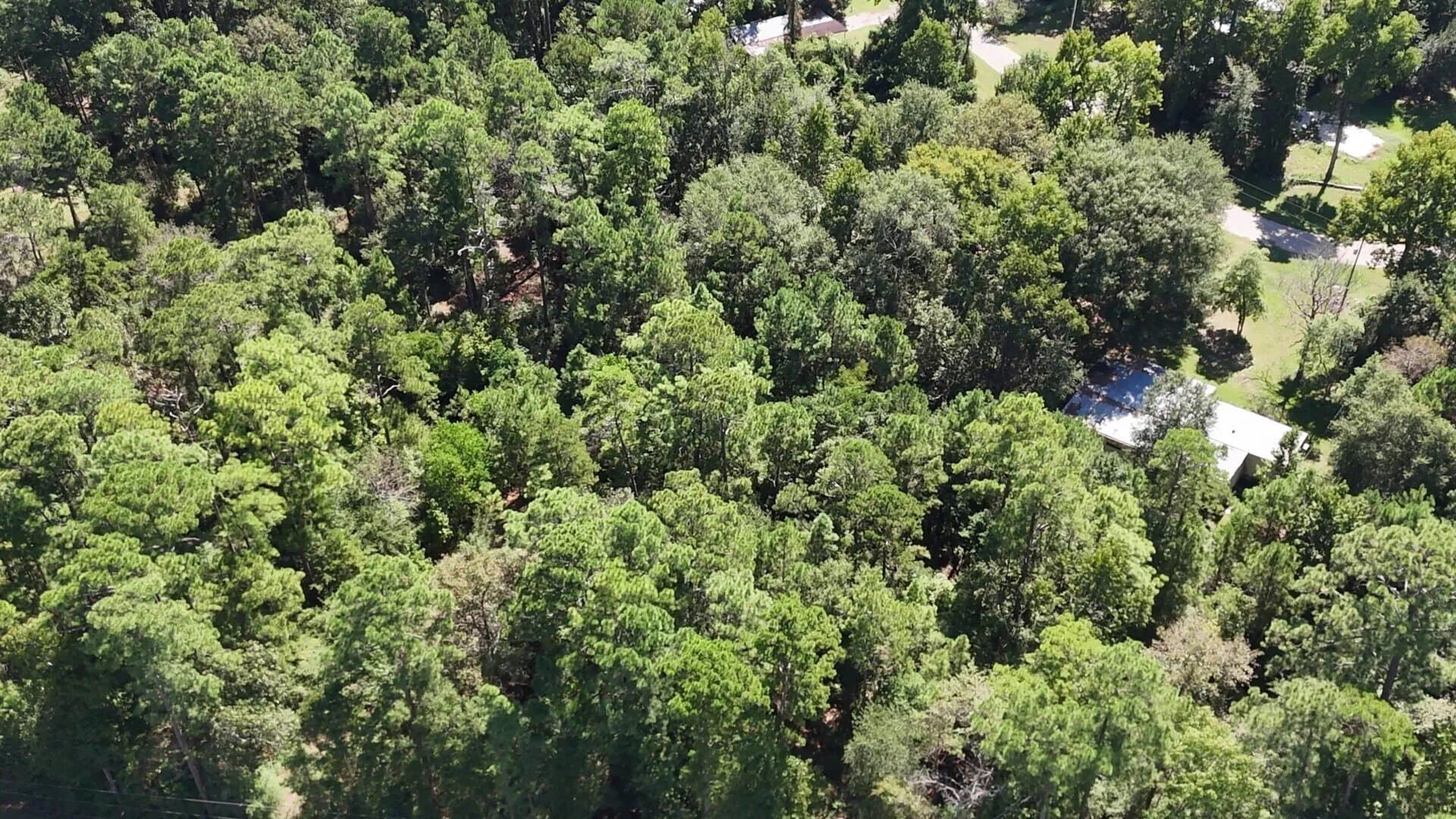 0.31 acres in Polk County - photo 11