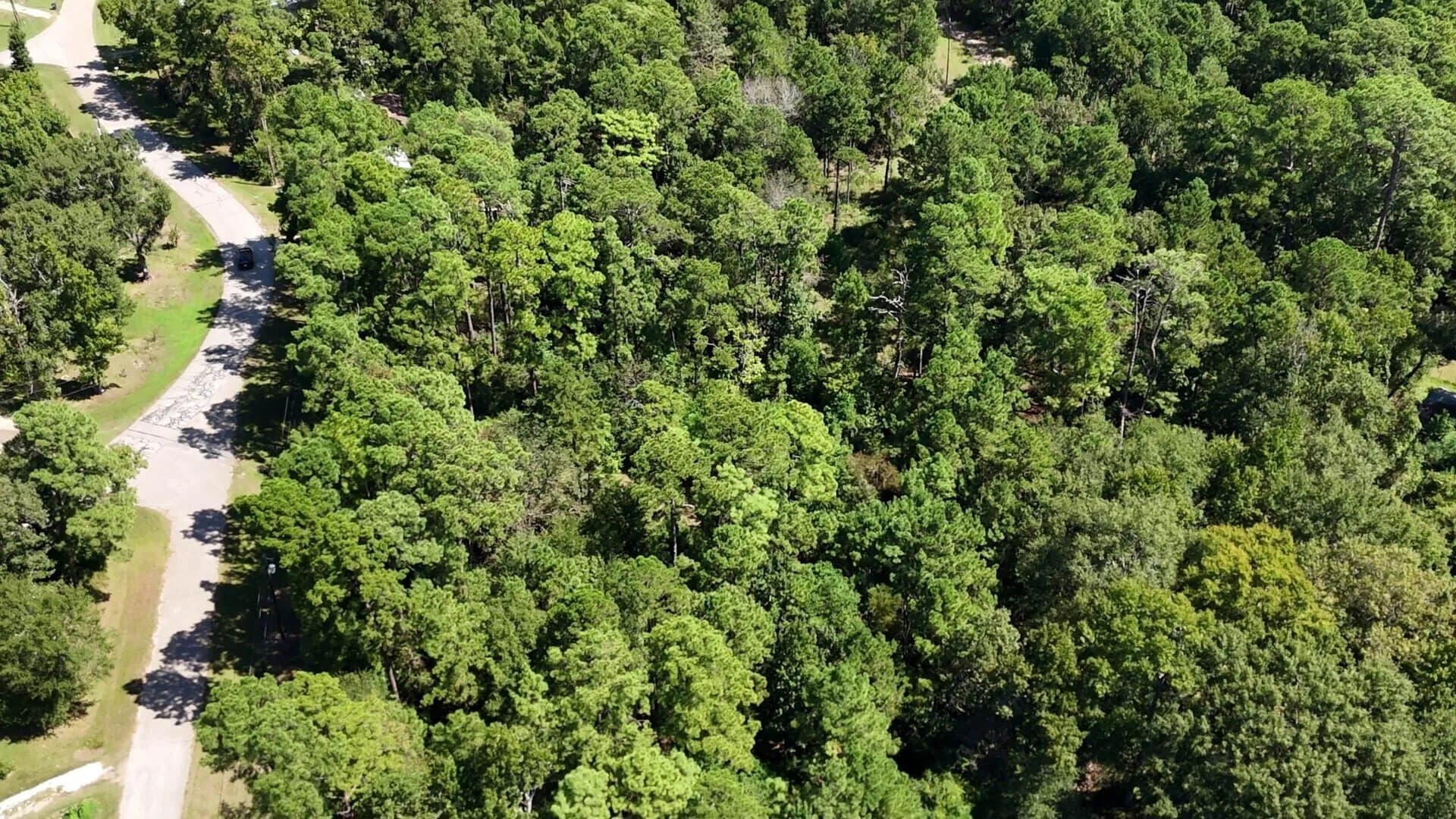 0.31 acres in Polk County - photo 19