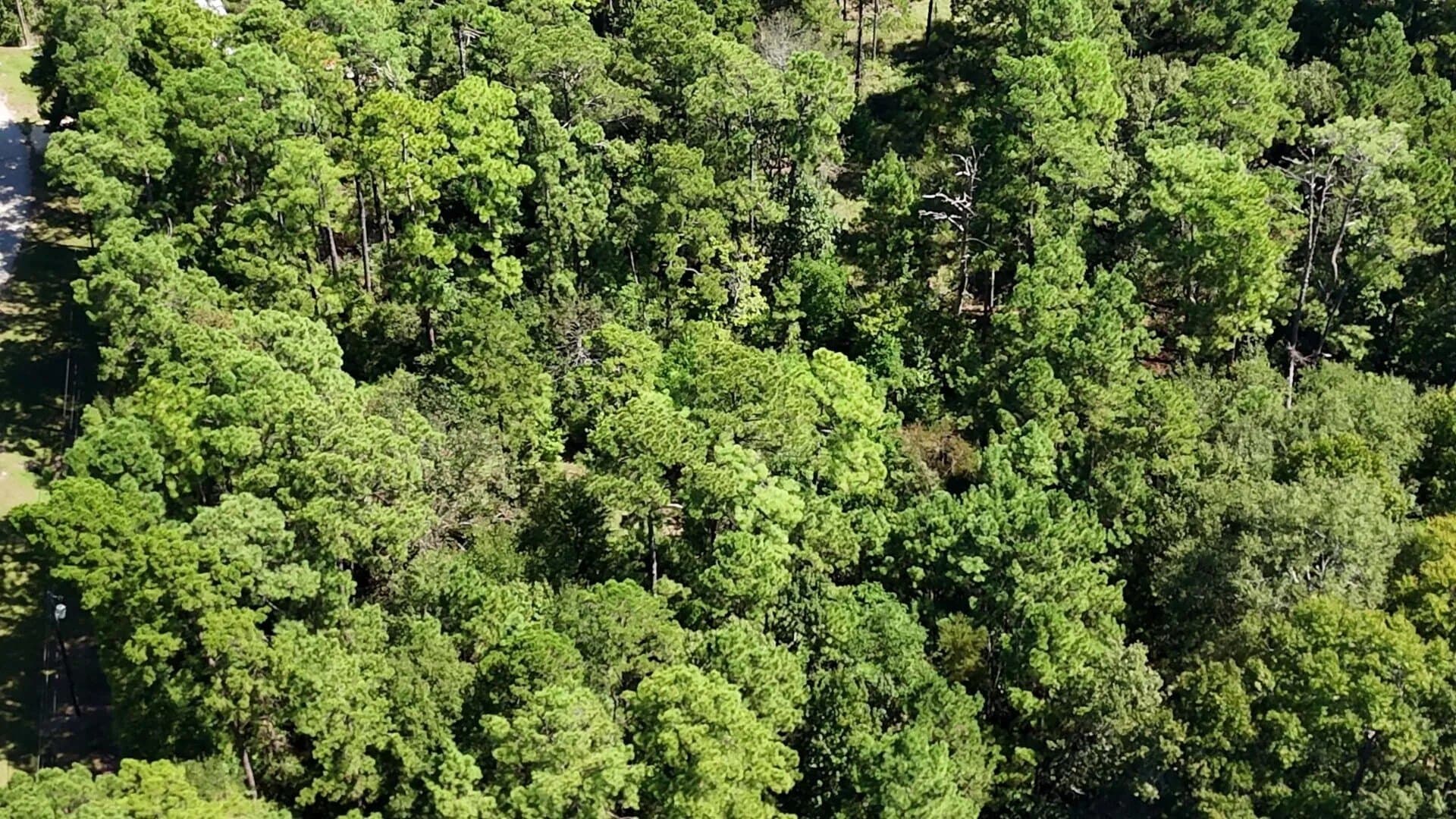 0.31 acres in Polk County - photo 18