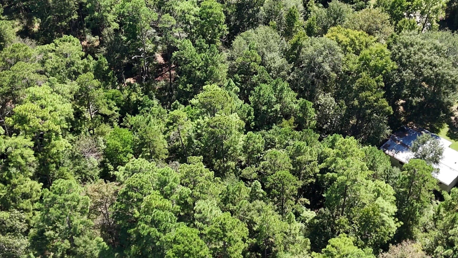 0.31 acres in Polk County - photo 12