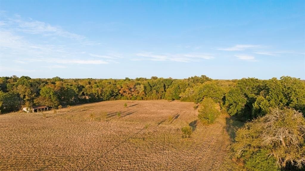43.1 acres in Lamar County