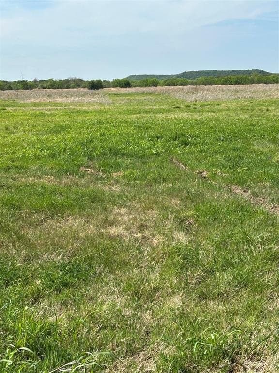 29.15 acres in Erath County gallery image 4