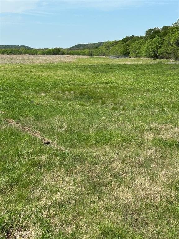 29.15 acres in Erath County gallery image 3