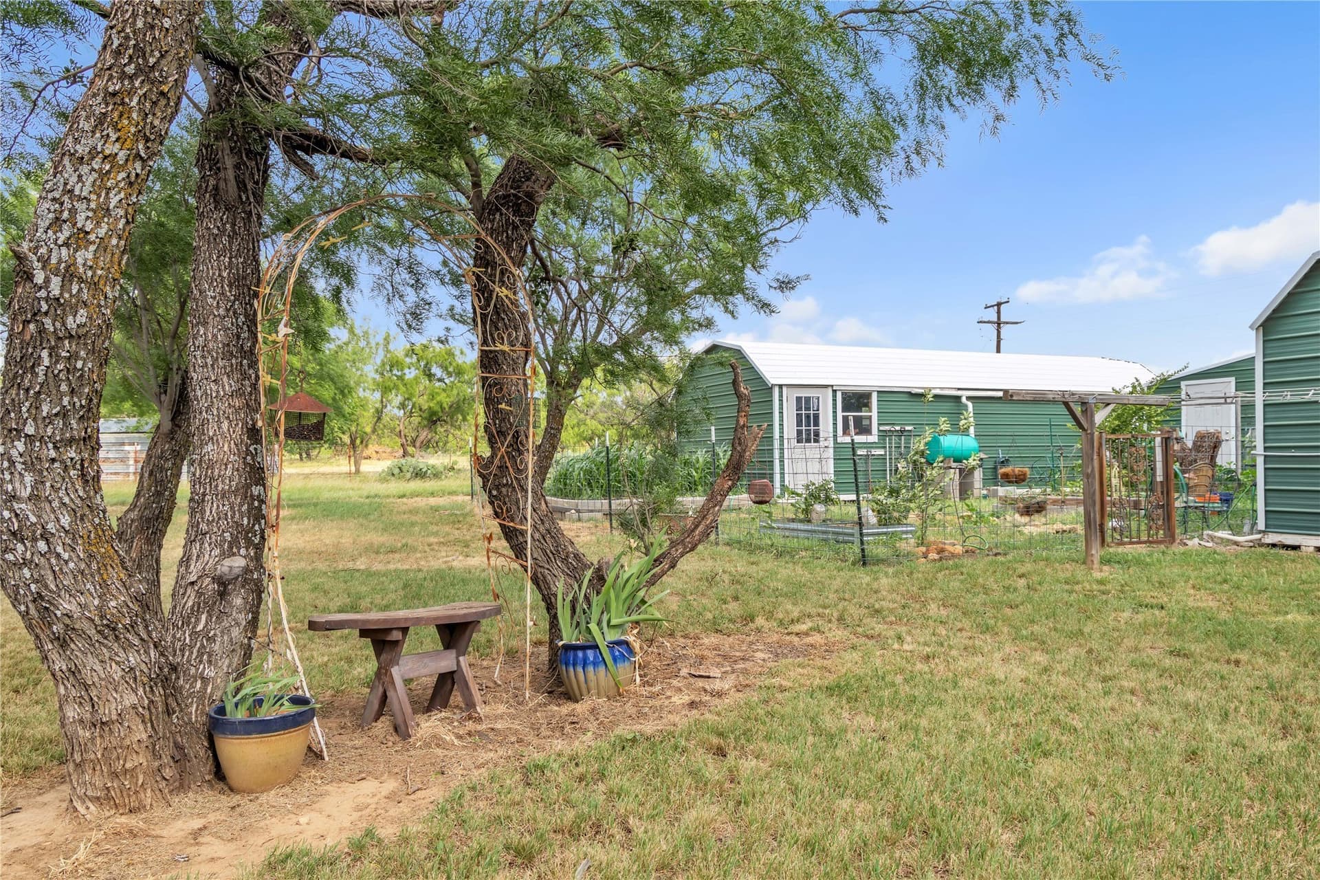 98 acres in Callahan County - photo 19